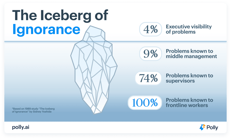 Iceberg of ignorance